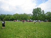 OTFL Gallery Image
